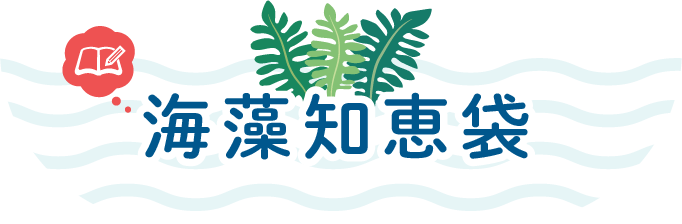 海藻知恵袋